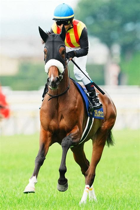 【秋華賞を占う】直行の桜花賞馬ステレンボッシュ＆オークス馬チェルヴィニアの上位揺るがず（スポニチ） 毎日新聞