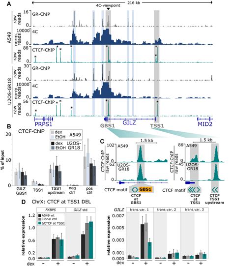 Cell Type Specific 4c Seq And Ctcf Binding Profiles A Gr Chip Seq Download Scientific