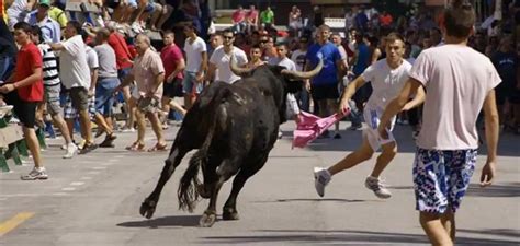 Bous al carrer municipios con toros en el puente de agosto Dónde hay