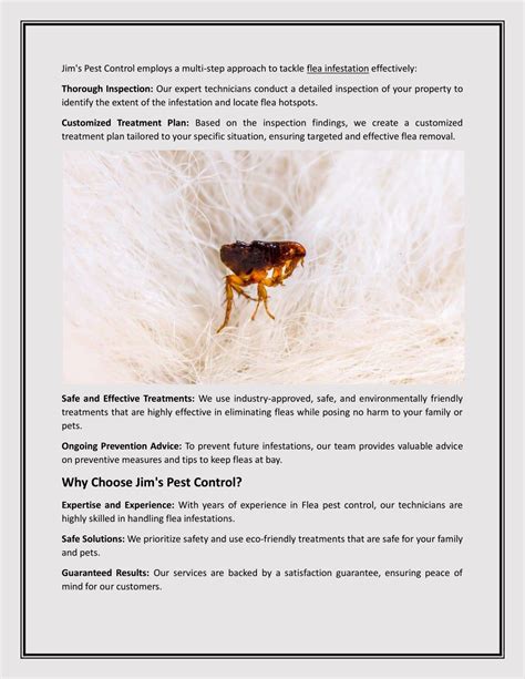 Ppt Effective Flea Treatment And Pest Control Solutions Jim S Termite And Pest Control