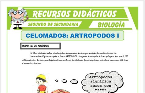 Celomados Artrópodos para Segundo de Secundaria Recursos 2024