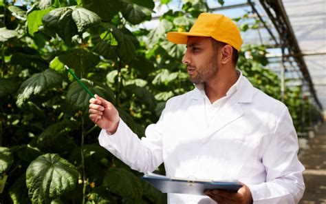 Kh M Ph C C Ng Nh Hot Trong T Ng Lai C P Nh T M I Nh T