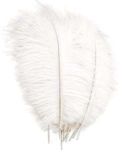 Yuzhou Pcs Natural Ostrich Feathers Cm Inch Wedding