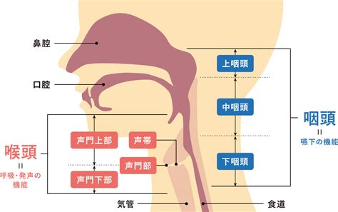 喉の痛みクリーム扁桃腺の痛みの喉の痛みの緩和クリーム Ba