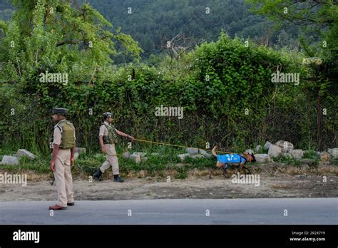 Srinagar India St May Indian Paramilitary Troopers Patrol