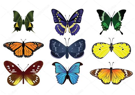 Mariposas vector gráfico vectorial toffeeart imagen 52394583