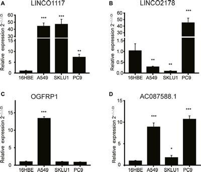 Frontiers Development And Validation Of An Endoplasmic Reticulum