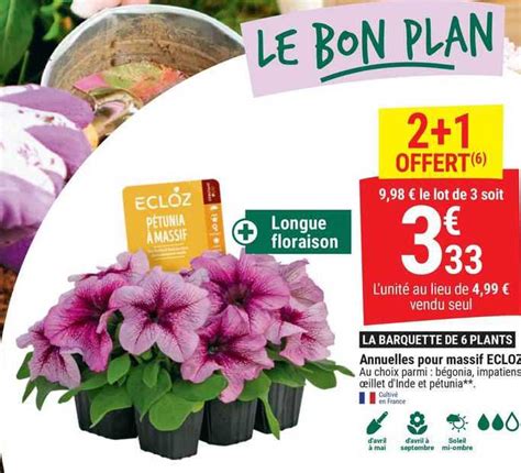 Promo Annuelles Pour Massif Ecloz Chez Gamm Vert Icatalogue Fr