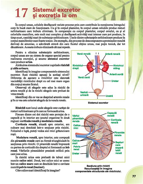 Biologie Pentru Clasa A Vi A A Pdf Pag