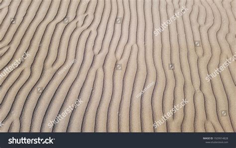 66 Transverse Dune Images, Stock Photos, 3D objects, & Vectors | Shutterstock