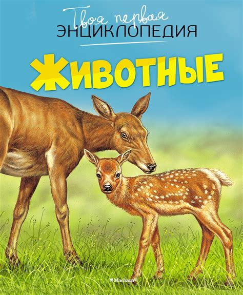 Купить книгу «Животные», Эмили Бомон | Издательство «Махаон», ISBN: 978 ...