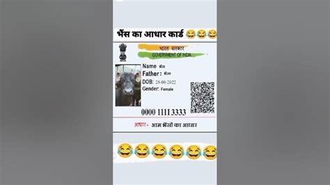 😂bhains Ka 😂 Vivah 😂aadhar Card Ban 😂 Gaya Hai 😂 😂funny Video