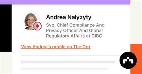 Andrea Nalyzyty Svp Chief Compliance And Privacy Officer And Global