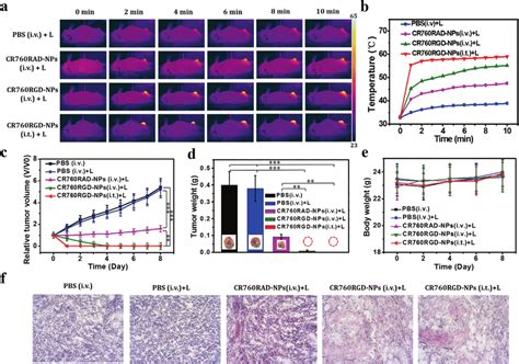 A Infrared Thermal Images Of 4T1 Tumor Bearing Mice With Different