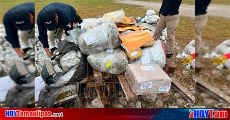 Hoy Tamaulipas Tamaulipas Incineran 50 kilos de marihuana ÂcocaÂ y