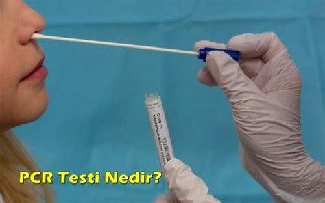 PCR Testi Nedir SAĞLIKLI TÜRKİYE