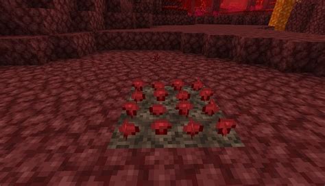 How To Find Nether Wart In Minecraft 2022 Beebom