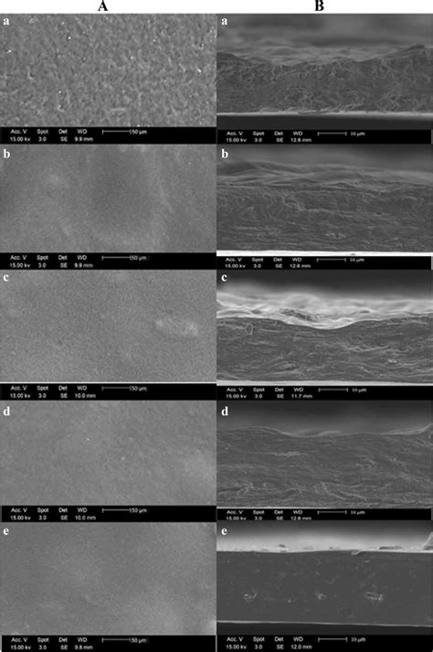 A, B Scanning electron micrographs CH (a), CH75/C25 (b), CH50/C50 (c ... 