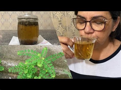 CHÁ DE QUEBRA PEDRA Receita natural para tratar cálculo renal