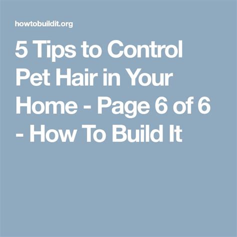 Tips To Control Pet Hair In Your Home Pet Hair Pets Hair