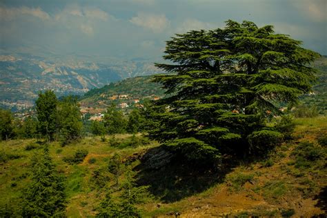 Hadath El Jebbeh Where Heritage Embraces Nature