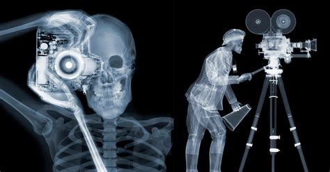 A Look At The Creative Work Of X Ray Photographer Nick Veasey Xray