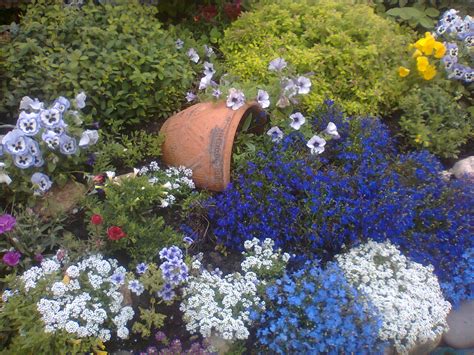 Лобелия на клумбе с другими цветами (65 фото) » НА ДАЧЕ ФОТО