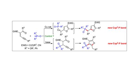 Csp3p Versus Csp2p Bond Formation Catalyst Controlled Highly