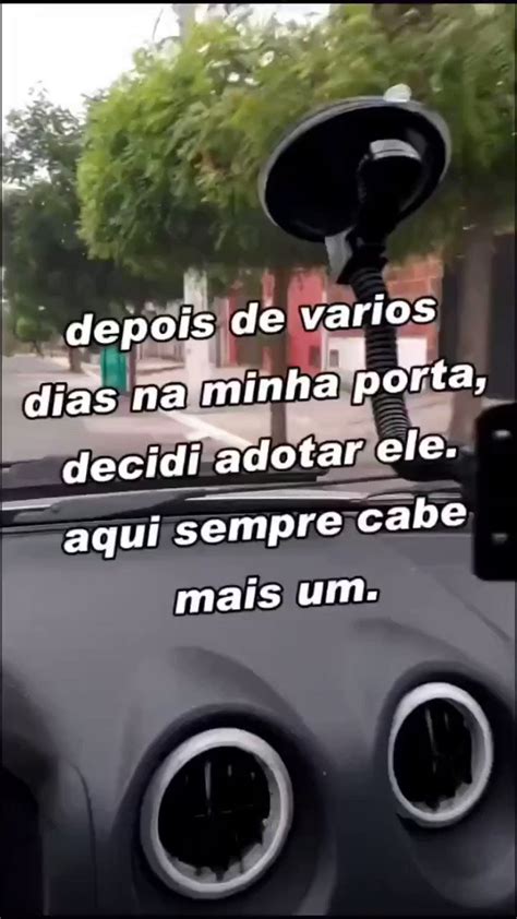 Catioro Reflexivo on Twitter Adotado e pronto Agora você é meu filho