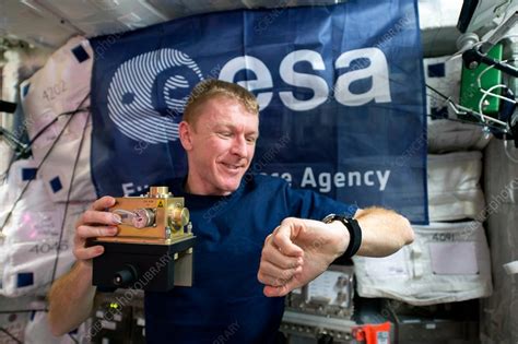 Tim Peake and ISS experiment, 2016 - Stock Image - C030/2095 - Science ...