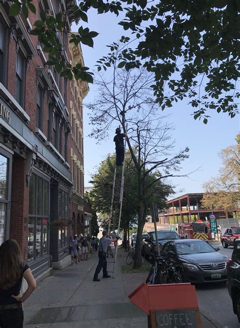 Hero saves the day : r/accidentalrockwell