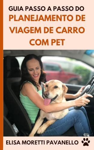 Guia Passo A Passo Do Planejamento De Viagem De Carro Pet Como