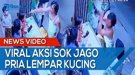 Viral Aksi Sok Jago Pria Lempar Kucing Gara Gara Hal Ini Tribun