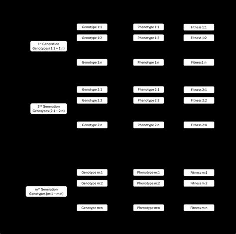 The Evo Devo Framework For Computational Design Selection