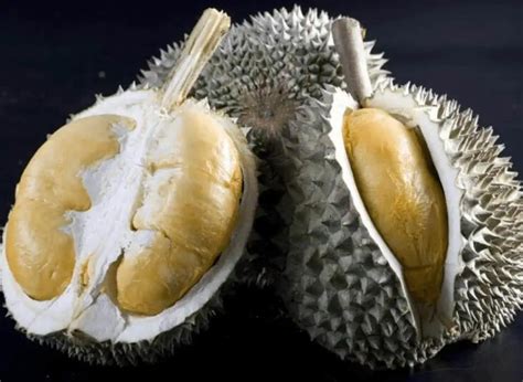 Types Of Durians How To Pick A Good Durian In Durian Season