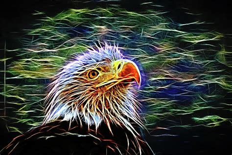 Bald Eagle Fractal Photograph By Judy Vincent Fine Art America