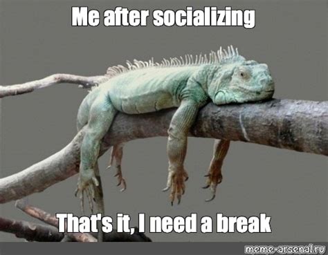 Meme: "Me after socializing That's it, I need a break" - All Templates - Meme-arsenal.com