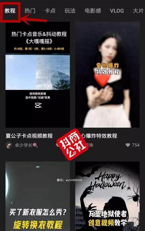 抖音视频伙伴计划申请攻略（加入抖音视频创作平台，成为优秀的内容创作者） 8848seo