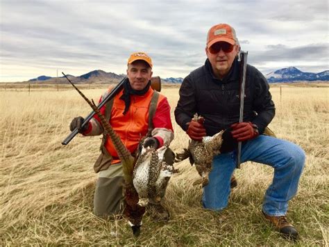 Trip Report Upland Birds And Waterfowl On The Prairiescheck Out The Photos Gordie White