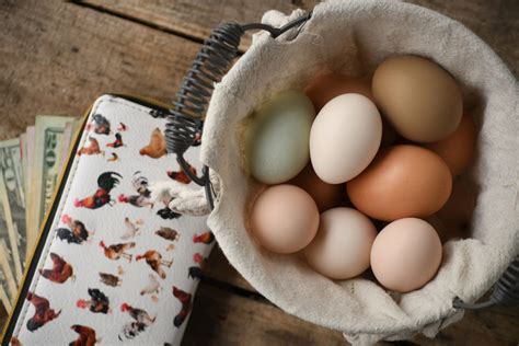 How To Save Money While Raising Chickens The Pioneer Chicks