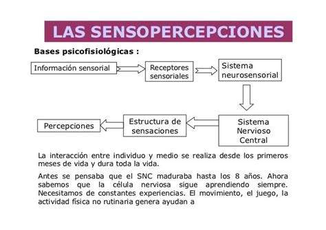 Las Sensopercepciones