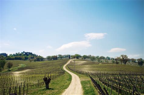 Umbria Wine The Ultimate Guide To The Wines Of Umbria Winerist