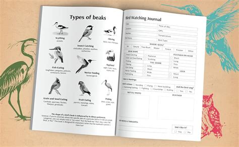 Bird Watching Journal Log Book For Watchers Birders And Nature Lovers