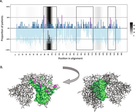 Of The Selection Pressure Within The Hiv 1 Envelope Gp120 Protein Among