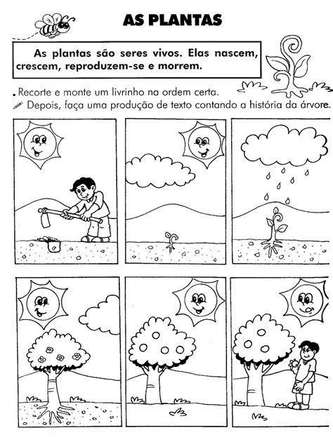 Atividade Partes Das Plantas 2 Ano