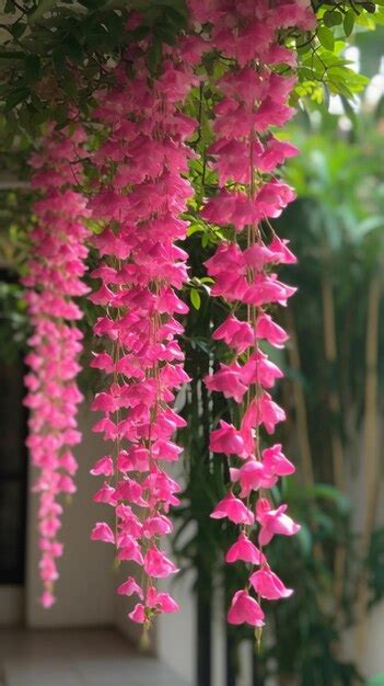 Uma Cesta Suspensa De Flores Flores Rosa Penduradas No Teto Foto