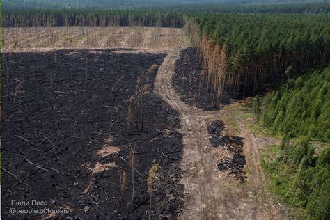 Clima I Giganteschi Incendi In Siberia Hanno Fatto Cambiare Idea A