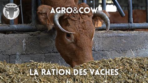 La Ration Des Vaches Agro Cow Youtube