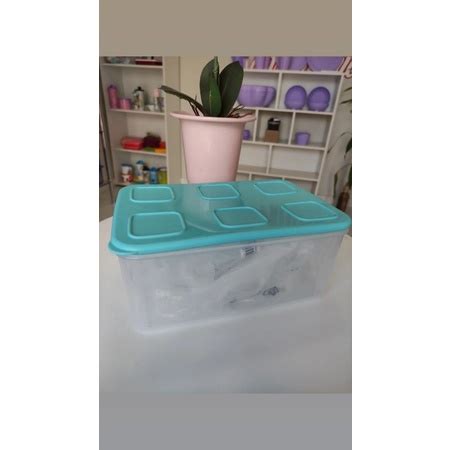 Tupperware Tupperfresh Retangular Litros Verde Mint Shopee Brasil