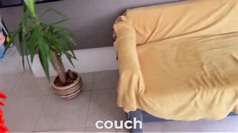 Need Anal Search XVIDEOS